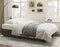Sofa Bed, Sleeper Sofa with Storage Chaise-2 in 1 Pull Out Couch Bed for Living Room, Sectional Couch with Pull Out Bed Gray